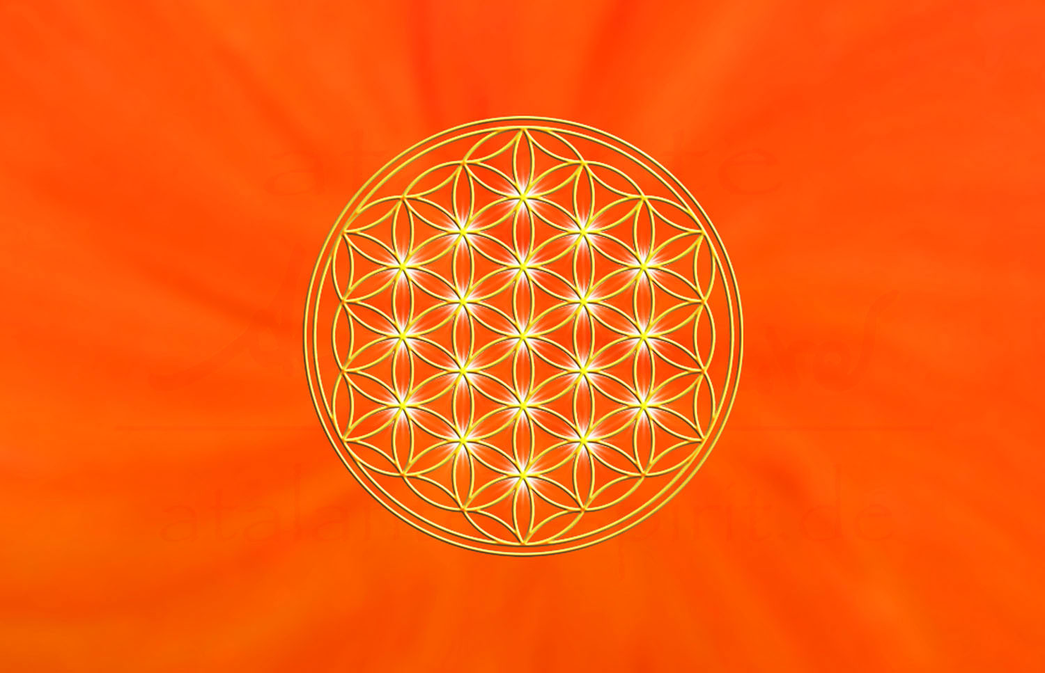 Blume des Lebens Energiekärtchen | Detailansicht Vorderseite Sakralchakra orange | designed by atalantes spirit®