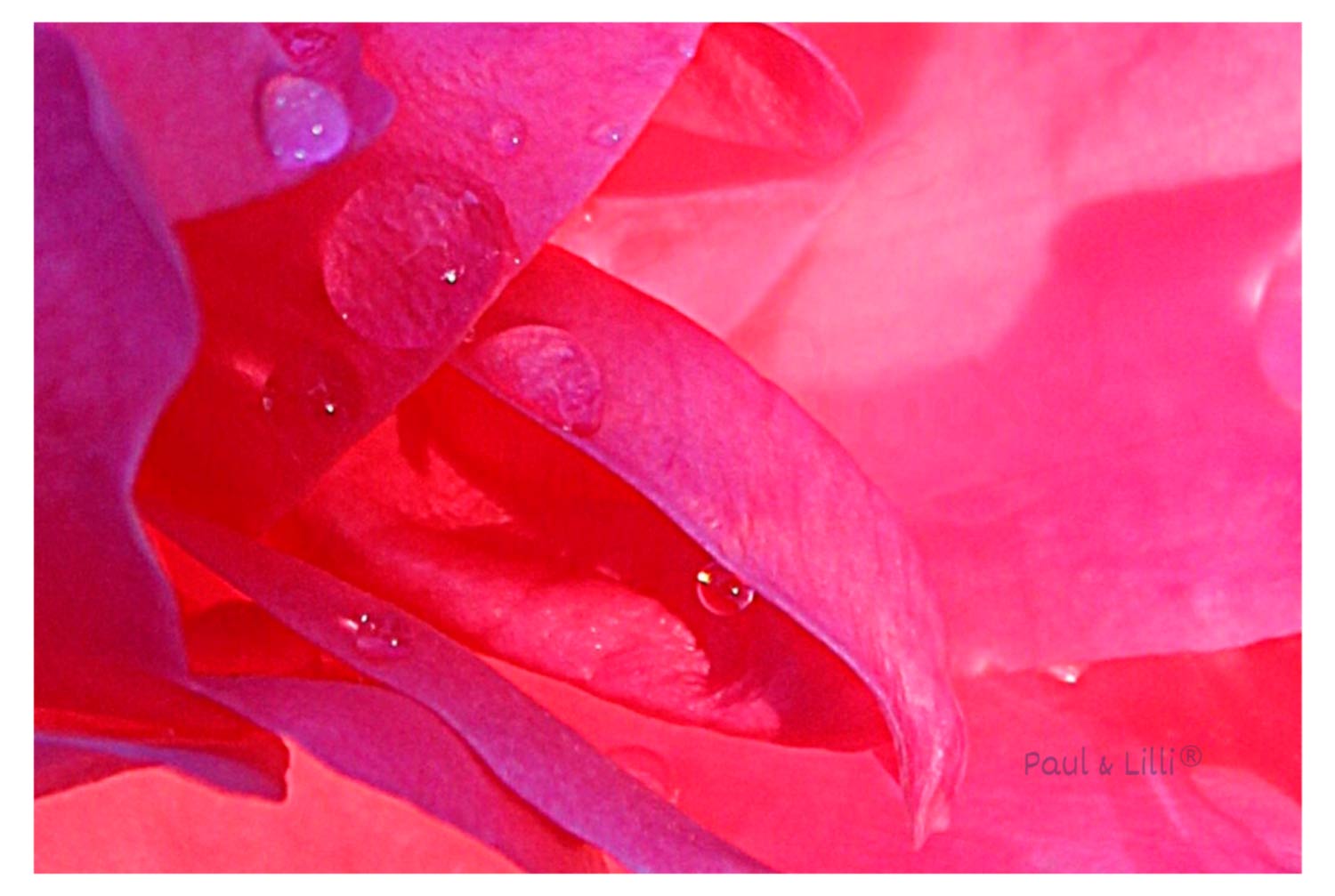Engelige Grüße - Von Herzen - Schutzengel Smiling Paul silber - Engelkärtchen pink RS - by atalantes spirit