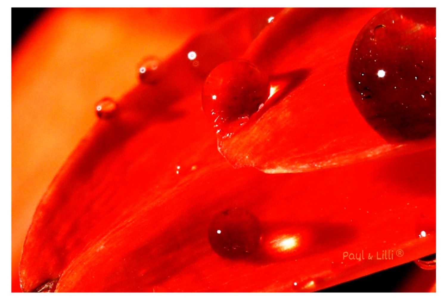 Engelige Grüße - Für Dich - Schutzengel Smiling Paul silber - Engelkärtchen orange RS - by atalantes spirit