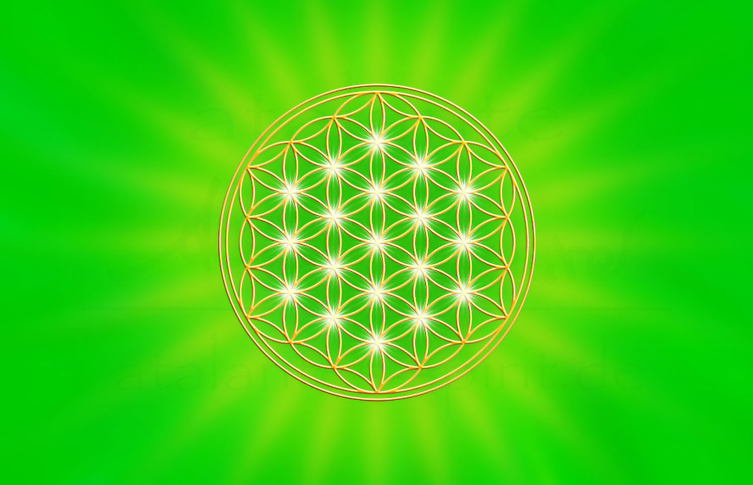 Blume des Lebens Energiekärtchen | Detailansicht Vorderseite Herzchakra grün | designed by atalantes spirit®