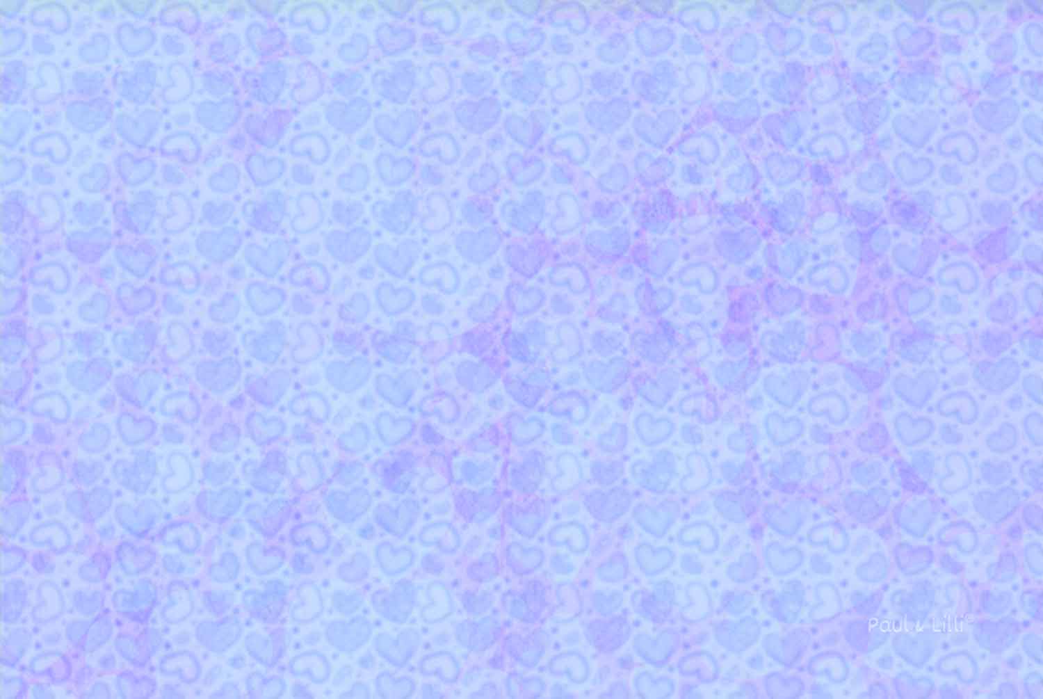 Engelige-Gruesse_Paul-Lilli_Nur-fuer-Dich_Kaertchen_Rueckseite_designed-by-atalantes-spirit Engelige Grüße - Paul & Lilli Schutzengel - Nur für Dich - Engelkärtchen hellblau RS - by atalantes spirit